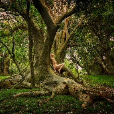 TreeGirl Blog - TreeGirl: Intimacy with Nature