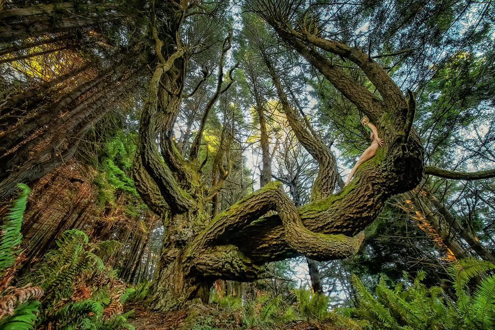 TreeGirl Blog - Treegirl: Intimacy with Nature