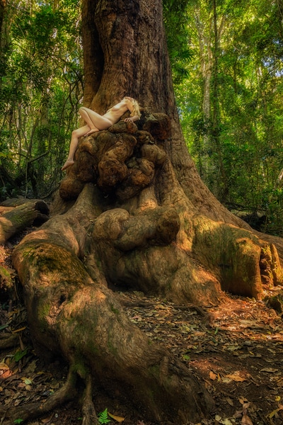 Gallery - Treegirl: Intimacy with Nature